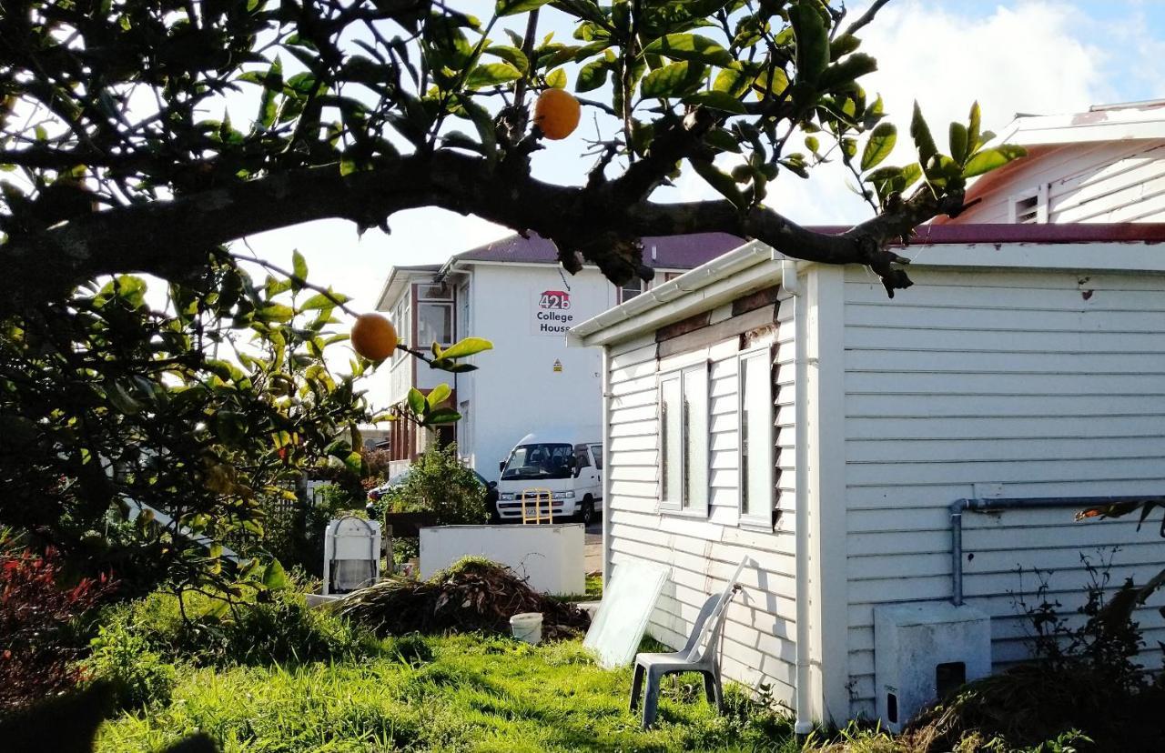 42B College House Vandrerhjem Whanganui Eksteriør bilde